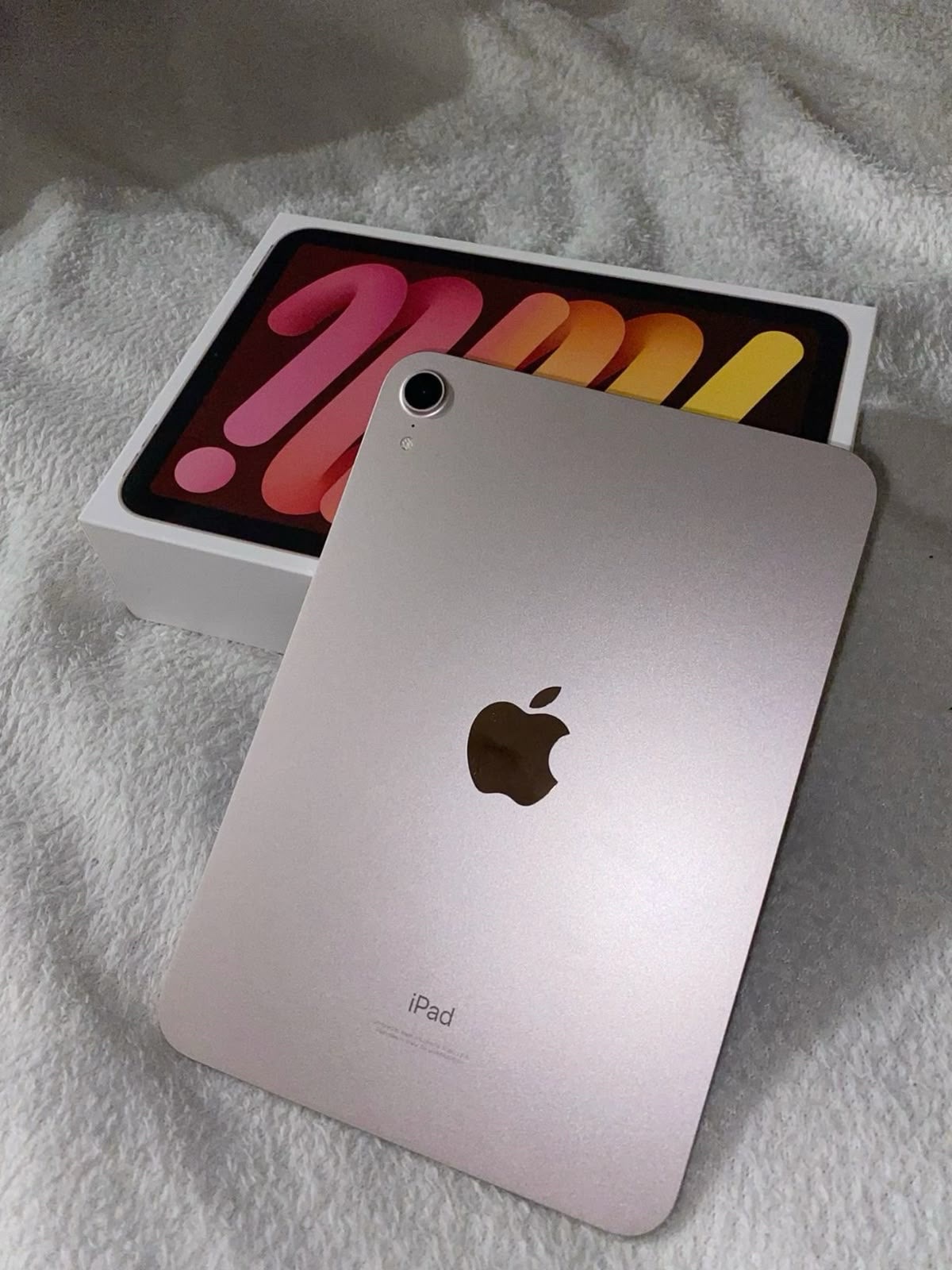 ipad 6 mini